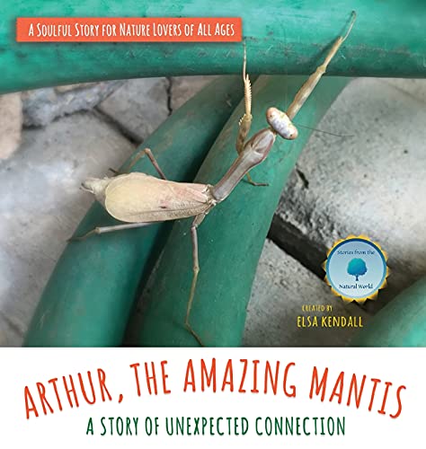 Arthur, The Amazing Mantis: A Story of Unexpected Connection (Stories from the Natural World)