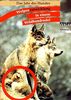 Welpenentwicklung in einem Wildhundrudel: Das Jahr des Hundes