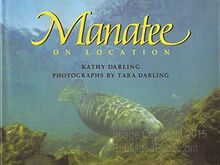 Manatee (On Location)