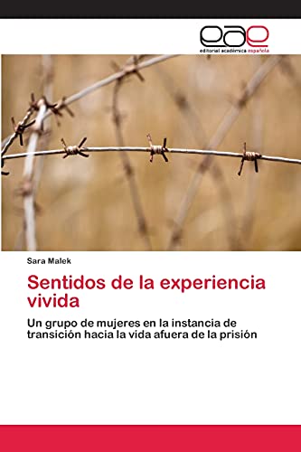Sentidos de la experiencia vivida: Un grupo de mujeres en la instancia de transición hacia la vida afuera de la prisión