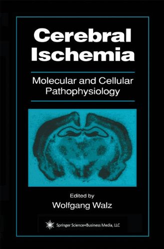 Cerebral Ischemia (Contemporary Neuroscience)