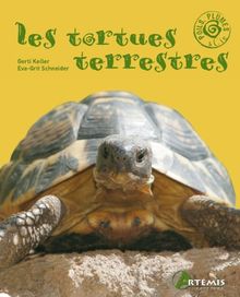 Les tortues terrestres