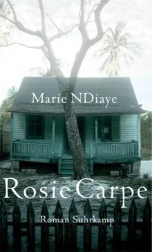 Rosie Carpe: Roman