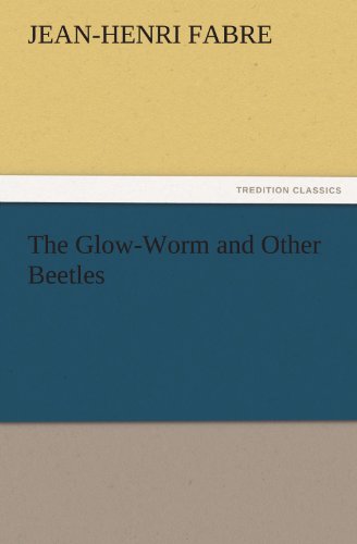 The Glow-Worm and Other Beetles (TREDITION CLASSICS)