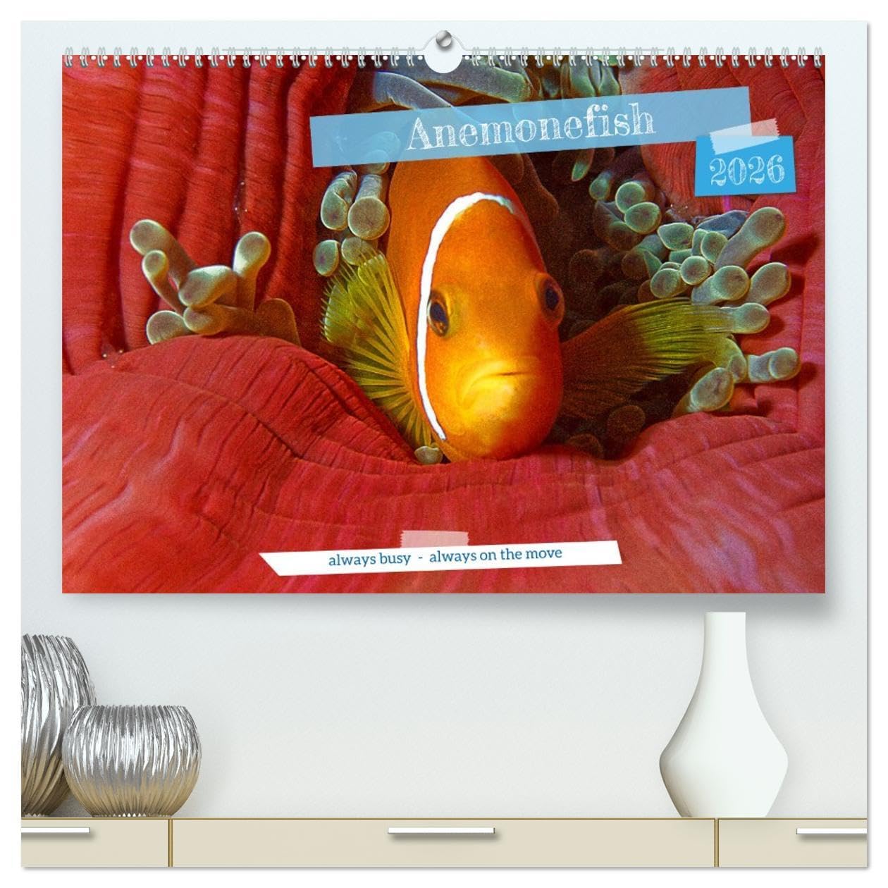 Anemonefish - always busy - always on the move (High Quality Premium Wall Calendar 2026 DIN A2 landscape),CALVENDO 12 Month Wall Calendar: Clownfish - Always busy - Always in move