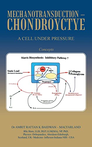 Mechanotransduction - Chondroyctye: A Cell Under Pressure