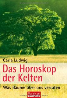 Das Horoskop der Kelten: Was Bäume über uns verraten