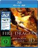The Fire Dragon Chronicles - Dragon Quest (3D Version inkl. 2D Version & 3D Lenticular Card)[3D Blu-ray]