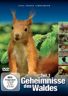 Geheimnisse des Waldes, Teil 1