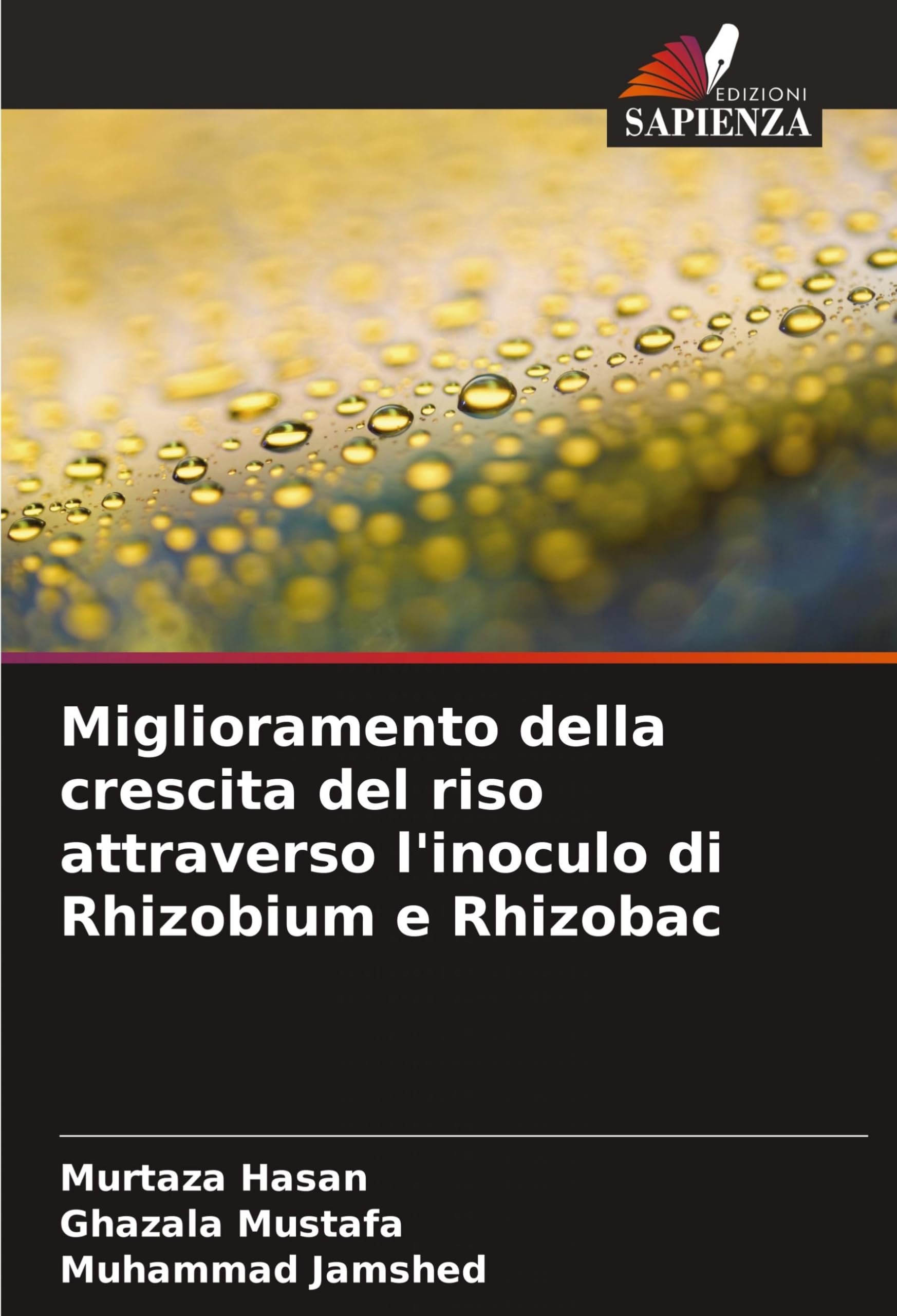 Miglioramento della crescita del riso attraverso l'inoculo di Rhizobium e Rhizobac