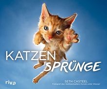 Katzensprünge von Casteel, Seth | Buch | Zustand sehr gut