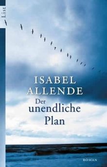 Der unendliche Plan. Roman