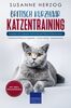 Britisch Kurzhaar Katzentraining: Ratgeber zum Trainieren einer Katze der Britisch Kurzhaar Rasse