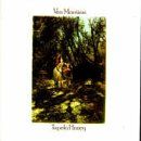 Tupelo Honey von Morrison, Van | CD | Zustand gut