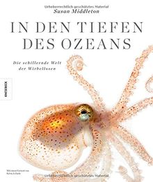 In den Tiefen des Ozeans: Die schillernde Welt der Wirbellosen