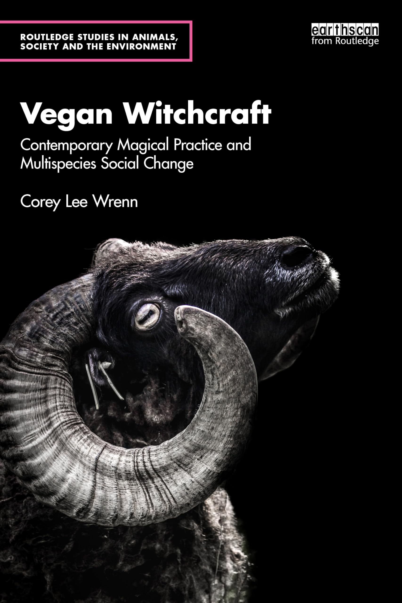 Vegan Witchcraft: Contemporary Magical Practice and Multispecies Social Change. (Routledge Studies in Animals, Society and the Environment)