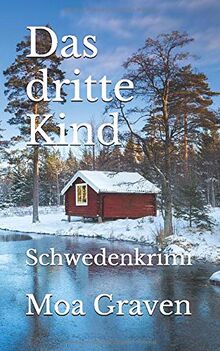 Das dritte Kind: Schwedenkrimi (Eva Sturm ermittelt, Band 18)