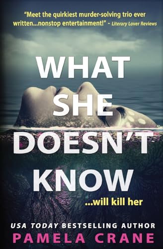 What She Doesn't Know (If Only She Knew Mystery Series, Band 3)