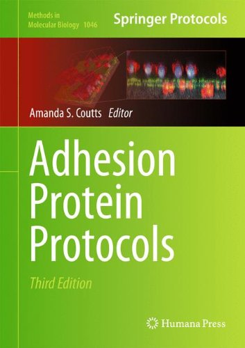 Adhesion Protein Protocols (Methods in Molecular Biology)
