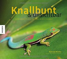 Knallbunt und unsichtbar: Farbenpracht und Tarnung in der Tierwelt