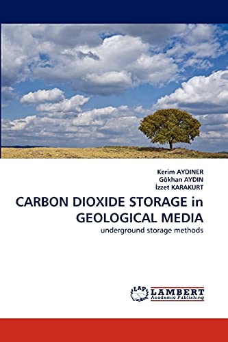 CARBON DIOXIDE STORAGE in GEOLOGICAL MEDIA: underground storage methods