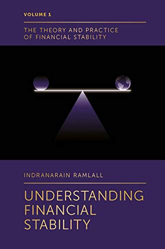 Understanding Financial Stability (Theory and Practice of Financial Stability, 1, Band 1)