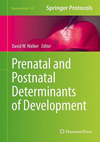 Prenatal and Postnatal Determinants of Development (Neuromethods)