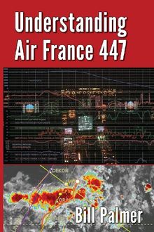 Understanding Air France 447 von Palmer, Bill | Buch | Zustand akzeptabel