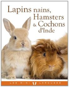 Lapins nains, Hamsters et Cobayes von Bulard-Cordeau, Brigitte | Buch | Zustand sehr gut