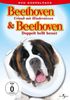 Beethoven - Urlaub mit Hindernissen & Beethoven - Doppelt bellt besser [2 DVDs]