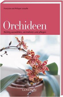 Orchideen: Richtig auswählen, vermehren und pflegen