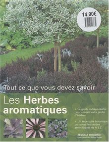 Les herbes aromatiques : tout ce que vous devez savoir