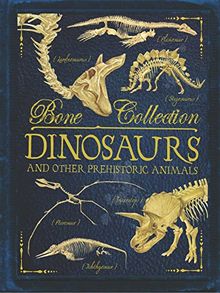 Bone Collections: Dinosaurs