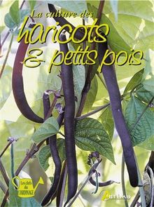 La culture des haricots et des pois