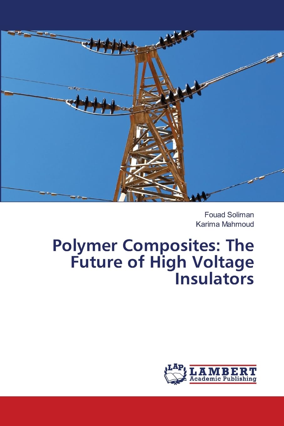 Polymer Composites: The Future of High Voltage Insulators: DE