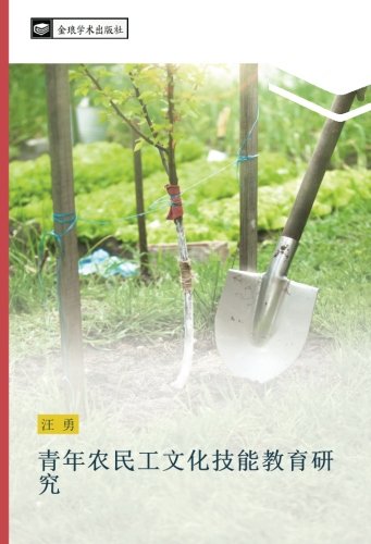 青年农民工文化技能教育研究