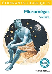 Micromégas