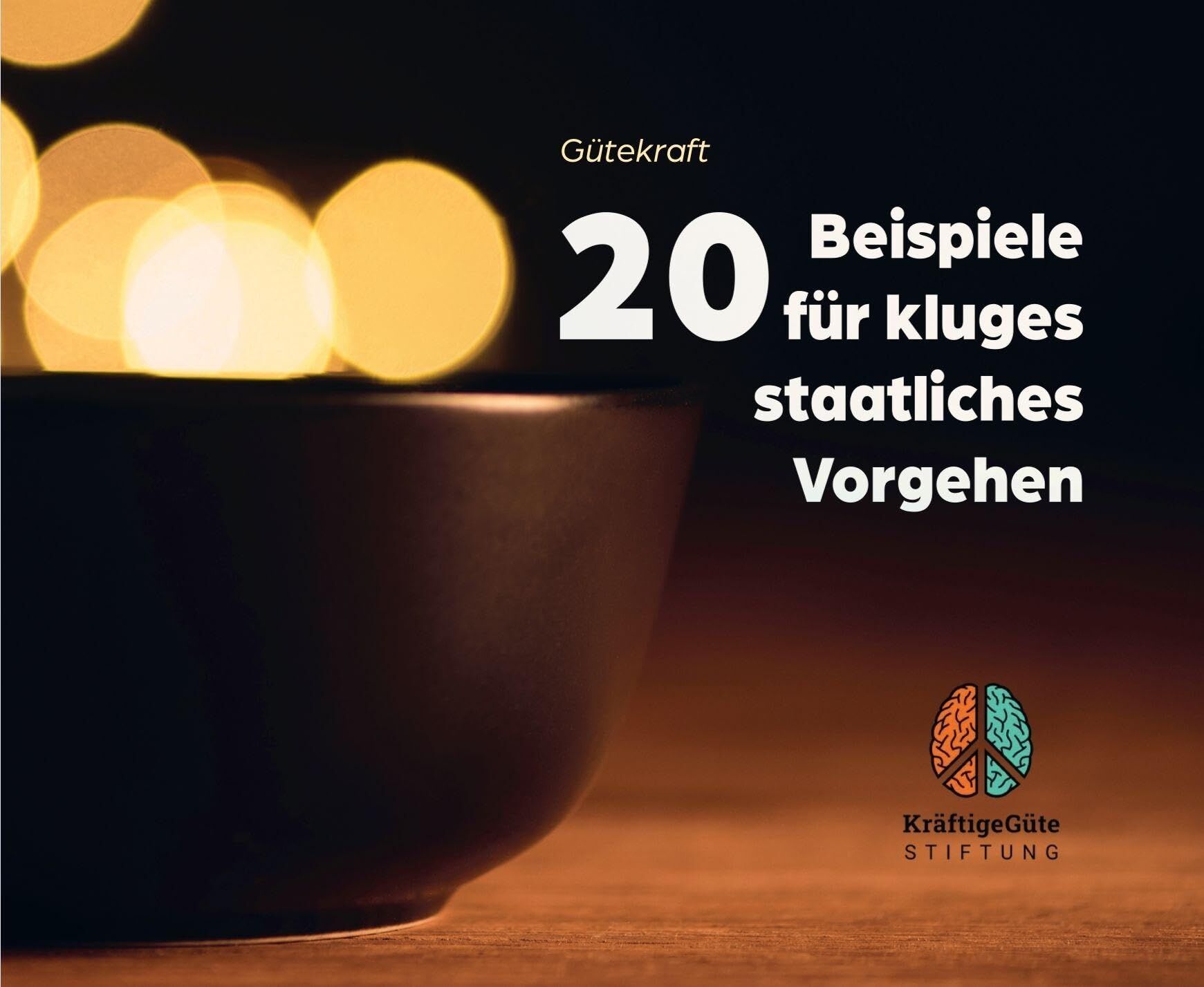 Oiro, Lucia: 20 Beispiele für kluges staatliches Vorgehen