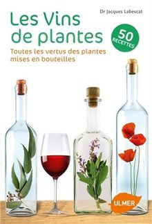 Les vins de plantes : toutes les vertus des plantes mises en bouteilles : 50 recettes