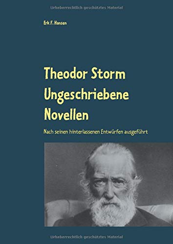 Theodor Storm Ungeschriebene Novellen: Nach seinen hinterlassenen Entwürfen ausgeführt