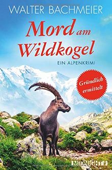 Mord am Wildkogel: Ein Alpenkrimi (Ein-Tina-Gründlich-Krimi, Band 6)