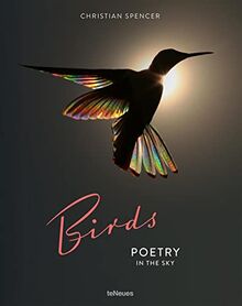 Christian Spencer Birds