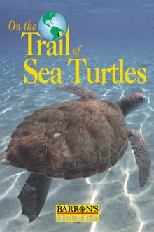 On the Trail of Sea Turtles