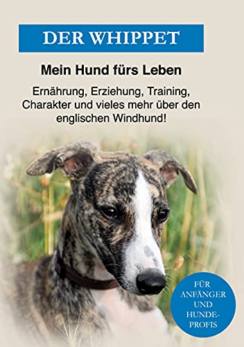 Der Whippet: Hundeerziehung, Beschäftigung, Charakter, Ernährung und vieles mehr über den englischen Windhund