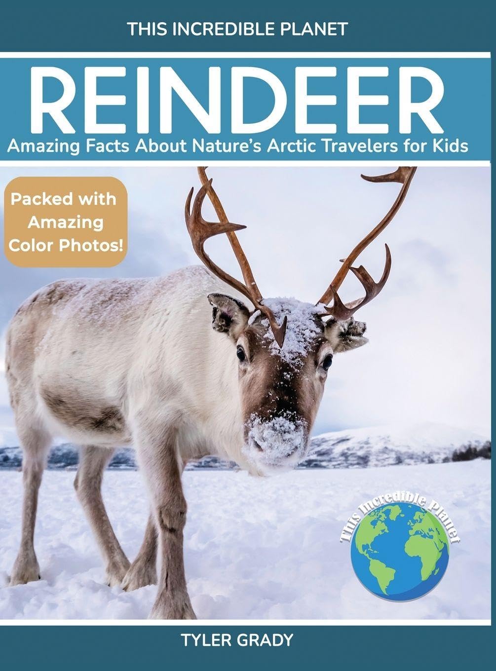 Reindeer