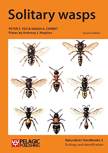 Solitary wasps (Naturalists' Handbooks, Band 3)