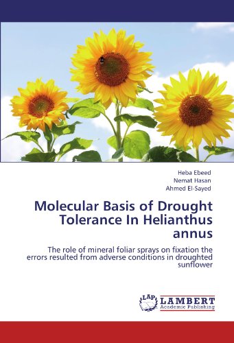 Molecular Basis of Drought Tolerance In Helianthus annus: The role of mineral foliar sprays on fixation the errors resulted from adverse conditions in droughted sunflower