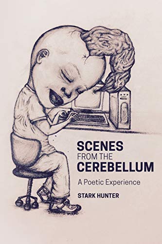 Scenes from the Cerebellum