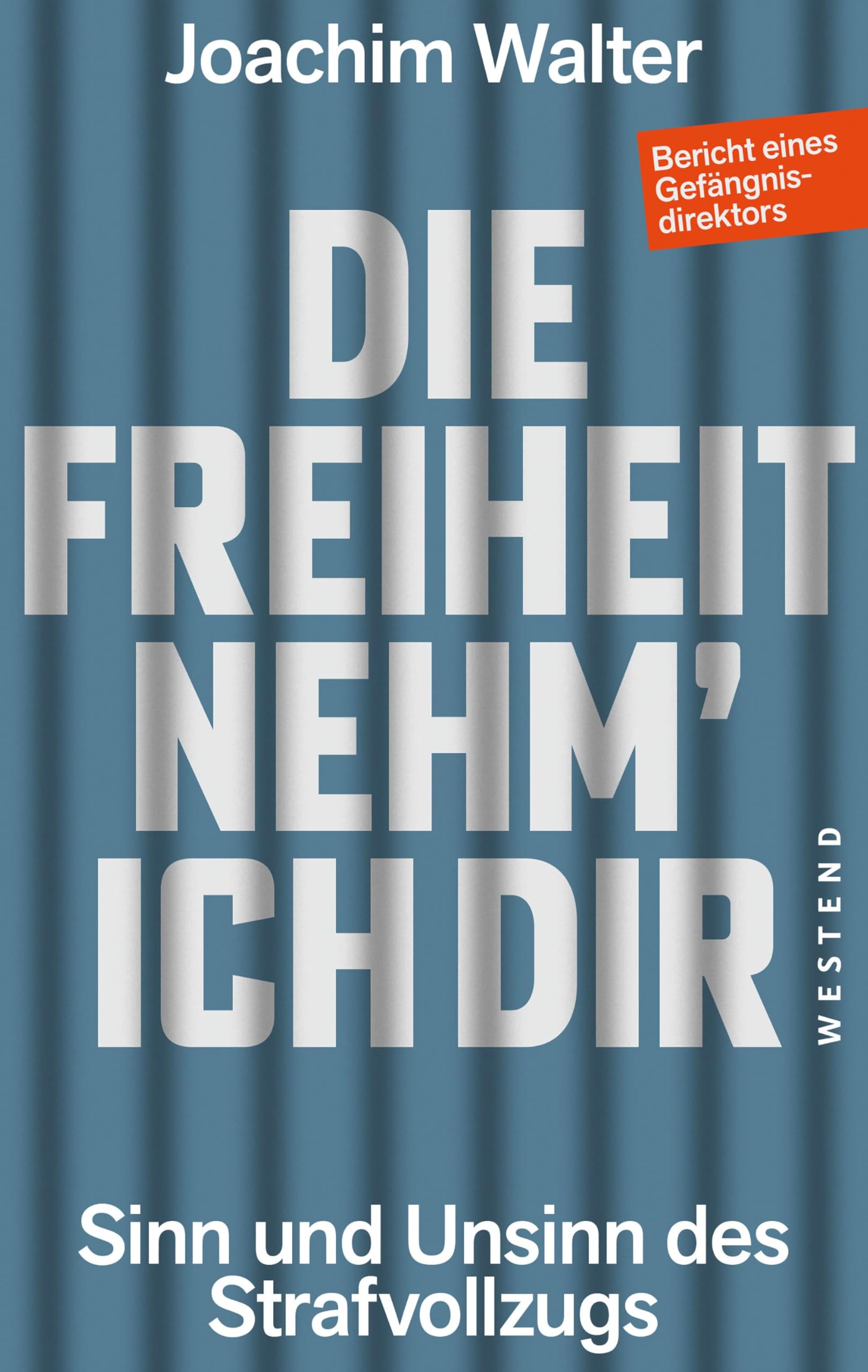 Die Freiheit nehm' ich Dir: Sinn und Unsinn des Strafvollzugs Bericht eines Gefängnisdirektors