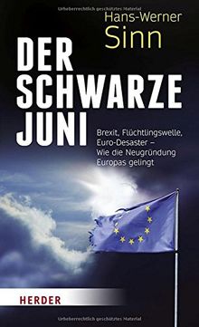 Der Schwarze Juni: Brexit, Flüchtlingswelle, Euro-Desaster - Wie die Neugründung Europas gelingt